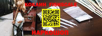 индика Можга