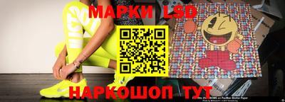 индика Можга