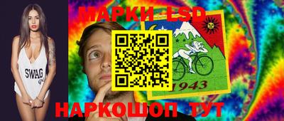 индика Можга