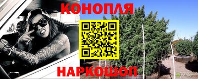 индика Можга