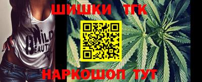 индика Можга