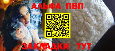индика Можга
