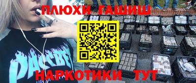 индика Можга